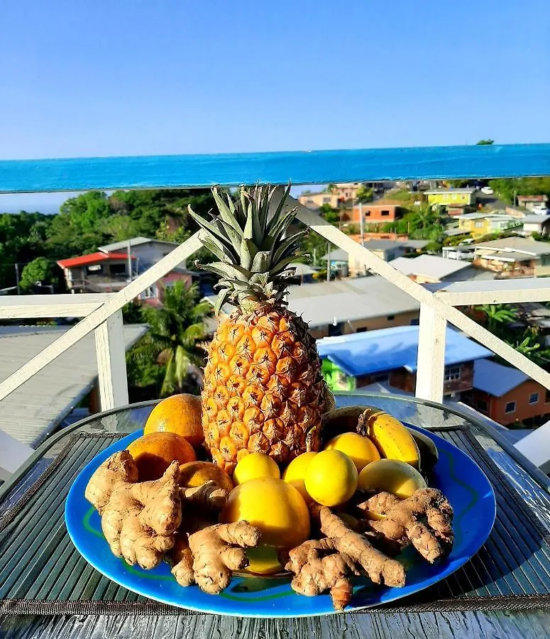 Onelovecottagetobago Holiday Home Scarborough
