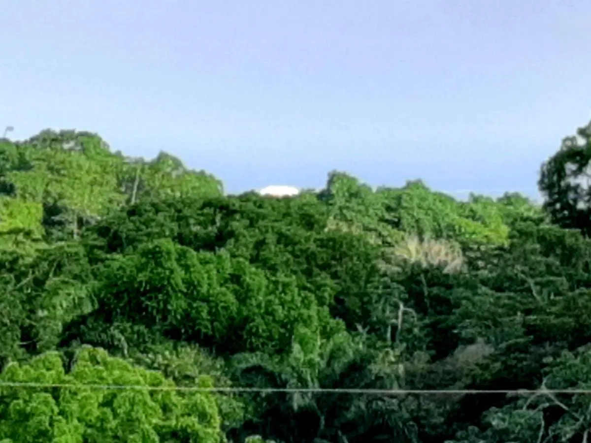 Guest house Onelovecottagetobago Holiday Home Scarborough Trinidad And Tobago