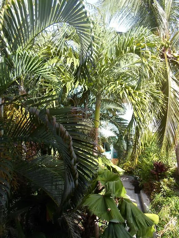 Onelovecottagetobago Holiday Home Scarborough